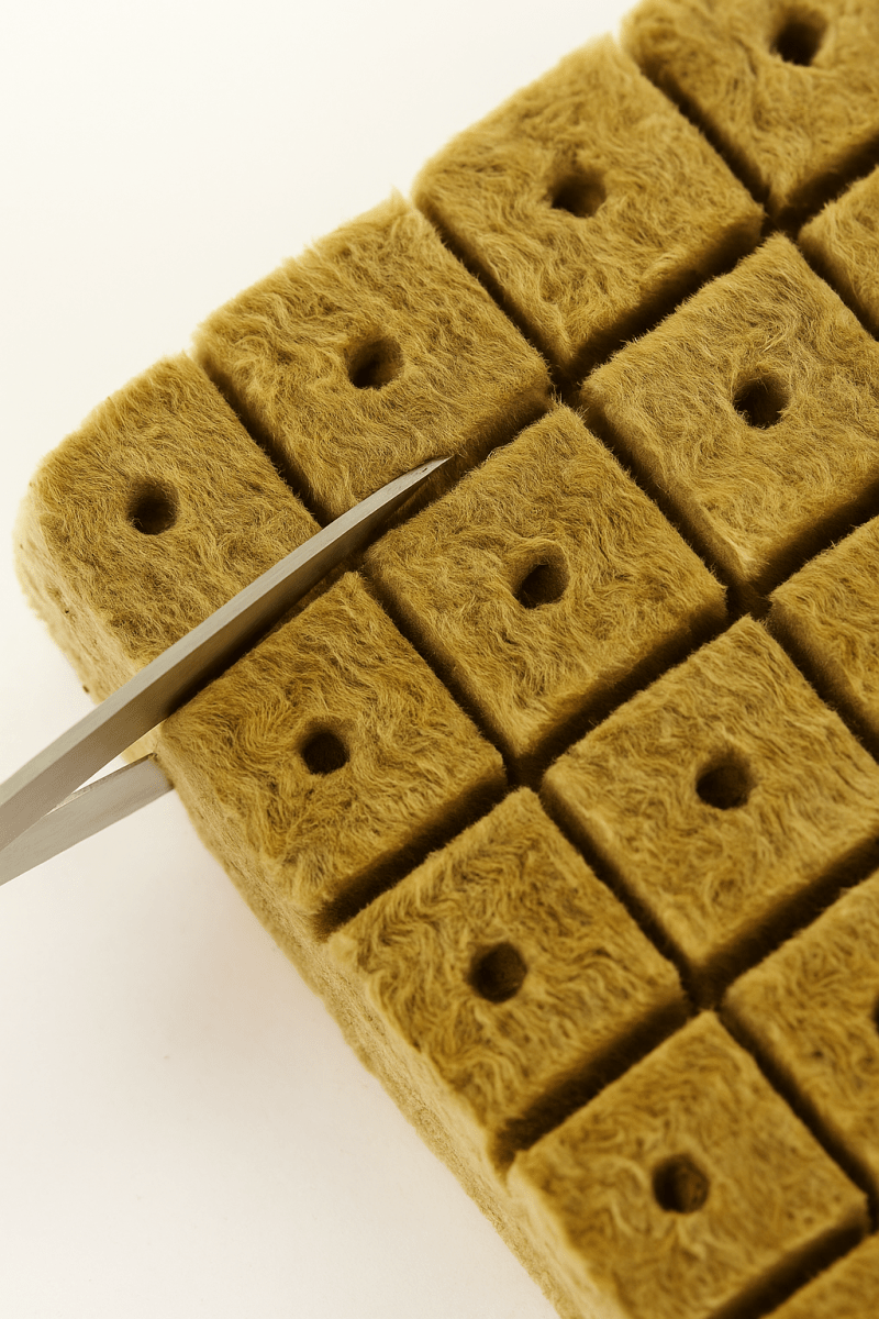 🔥 RockGrow™ – Bouchons de Germination en Laine de Roche – Lancement Facile et Propre de Vos Semis de Jardin et Cultures Hydroponiques - FaciliCasa