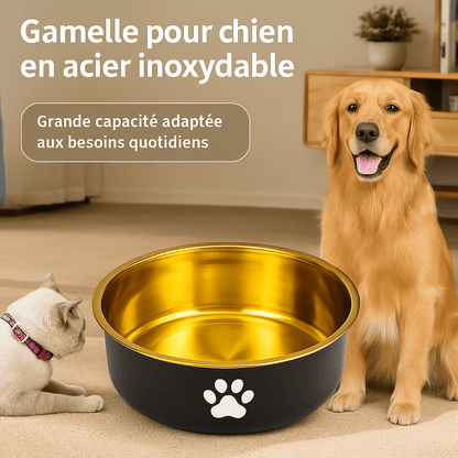 🐾 BowlRoyal™ – Gamelle design antidérapante pour chien – Élégance & hygiène au quotidien - FaciliCasa