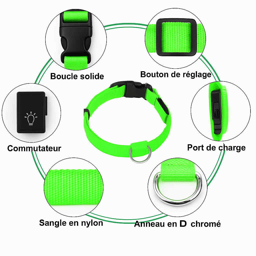 🐶 LumiColl™ - Collier lumineux LED USB pour chien – Sécurité nocturne, design moderne, 3 modes de visibilité - FaciliCasa