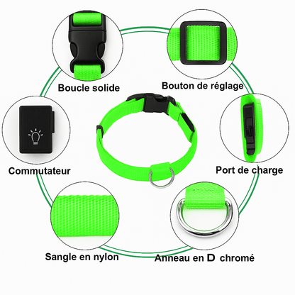 🐶 LumiColl™ - Collier lumineux LED USB pour chien – Sécurité nocturne, design moderne, 3 modes de visibilité - FaciliCasa