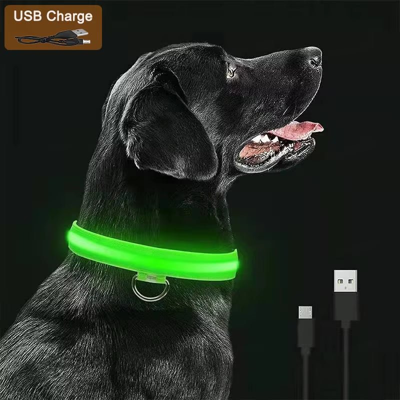 🐶 LumiColl™ - Collier lumineux LED USB pour chien – Sécurité nocturne, design moderne, 3 modes de visibilité - FaciliCasa