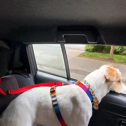 🐾 SafeRide™ - Ceinture de sécurité pour chien – Protégez votre compagnon à quatre pattes en voiture - FaciliCasa